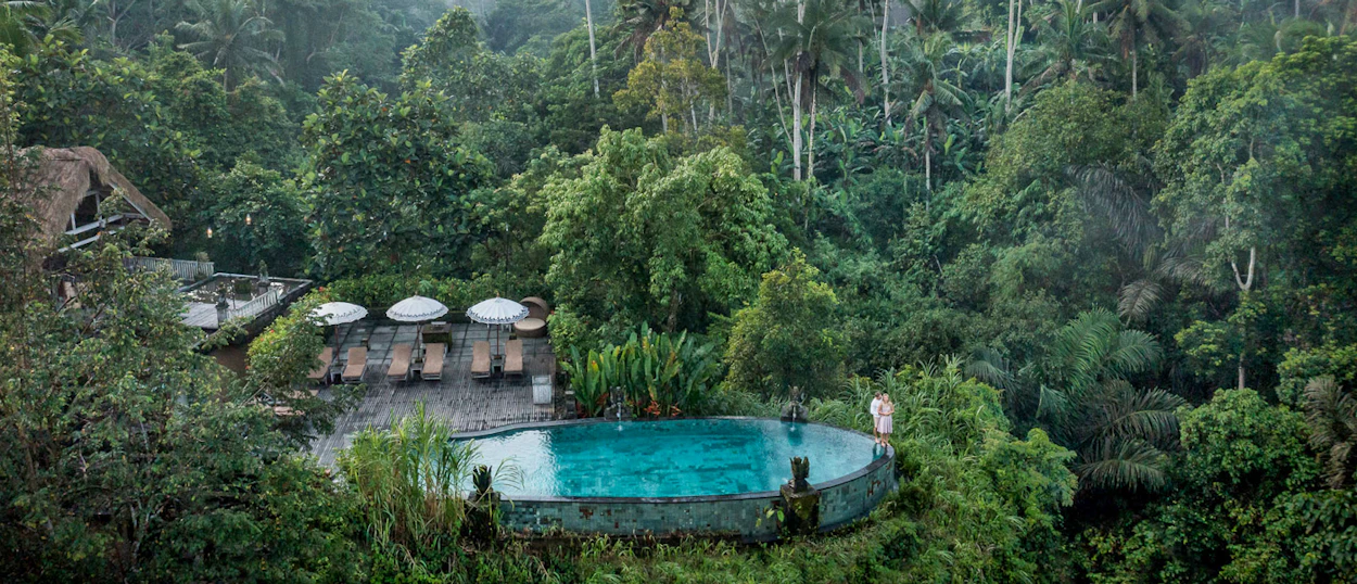 A stunning infinity pool at a resort overlooks a lush green tropical jungle in Ubud, Bali.