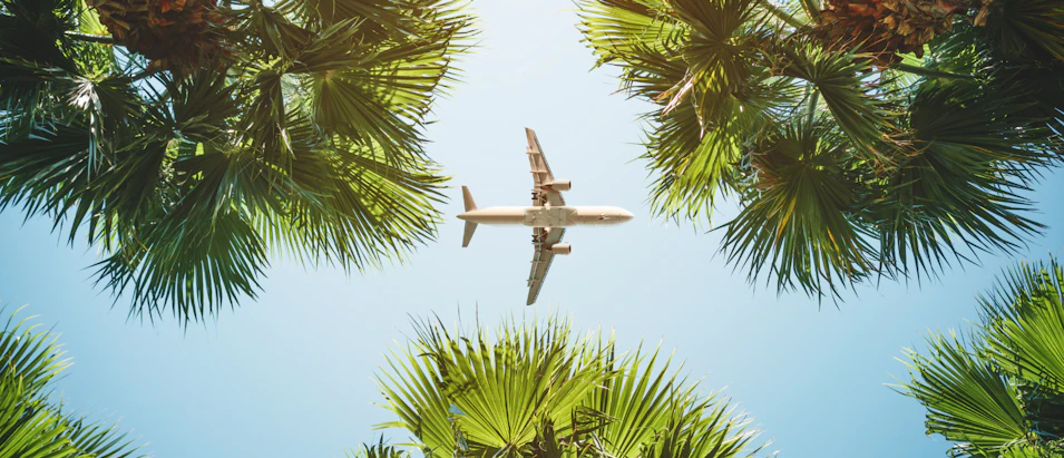 A passenger plane soars over tropical palm trees on a bright, sunny day.