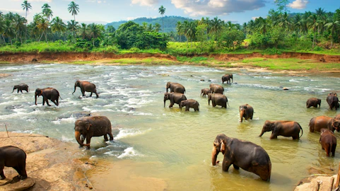 Sri Lanka Adventure