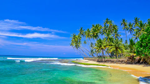 Sri Lanka: Beach & Safari Adventure