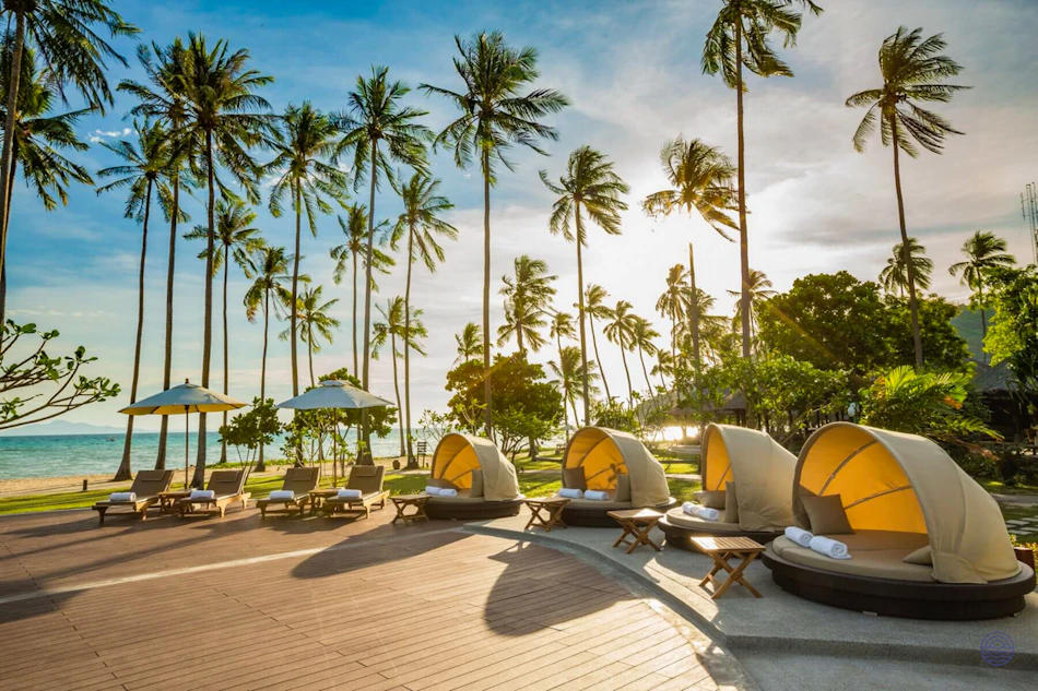 Luxurious resort beach with palm trees, lounge chairs, and shaded daybeds at sunset in Koh Phi Phi.
