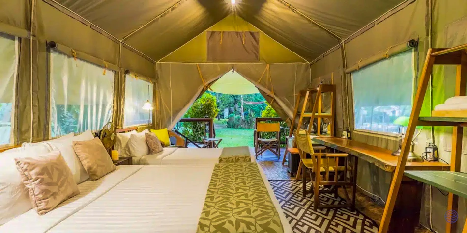 Spacious glamping tent at Hintok River Camp with comfortable beds, a desk, and outdoor view.