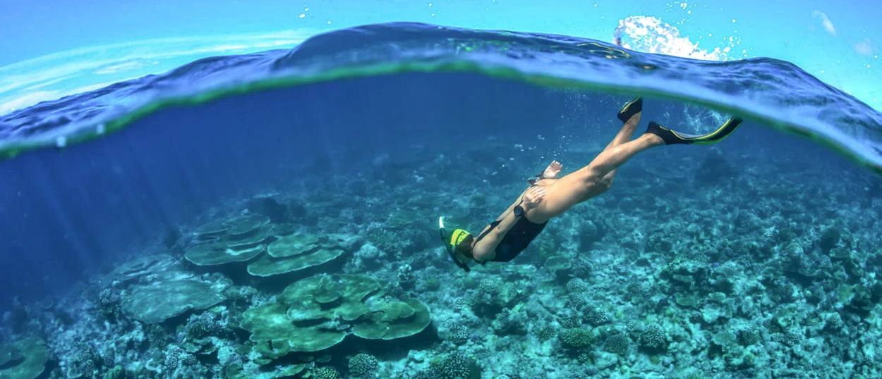 A person snorkeling in crystal-clear waters over vibrant coral reefs in Koh Phi Phi.