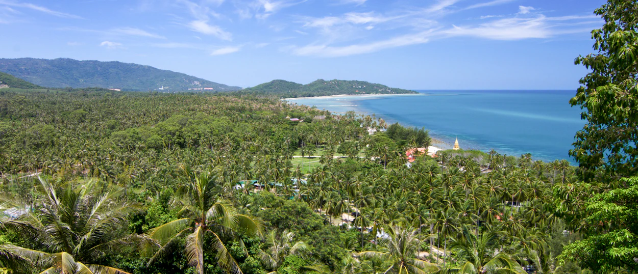 Lush green palm trees stretch along the beautiful sandy beaches and clear blue waters of Koh Samui.